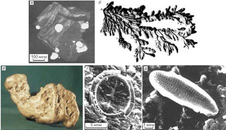 .1.       :   ,    (    );        ();    (); ,  - 